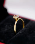 Anillo Aurea Talla 5